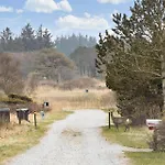 Vakantiehuis Tv1123-hirtshals-tjorneklitten-5 *